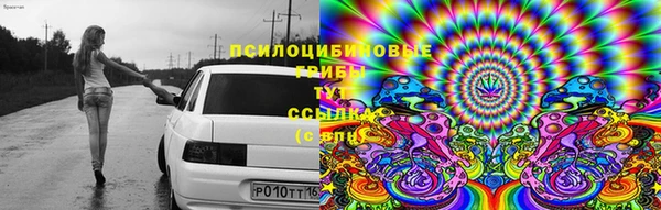 a pvp Алексин