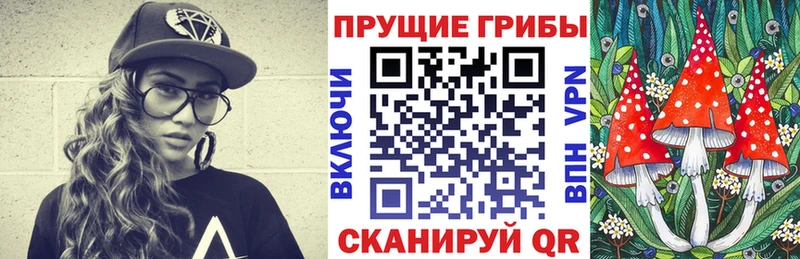 omg ССЫЛКА  Мариинск  Галлюциногенные грибы прущие грибы 